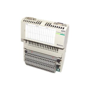 Schneider Electric 170BAM09600 Modicon Momentum Analog I/O Module