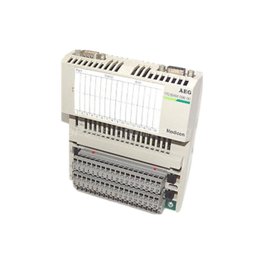 Schneider Electric 170BAM09600 Modicon Momentum Analog I/O Module