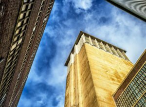 Triconex 4210: Remote I/O Expansion Module (RXM)