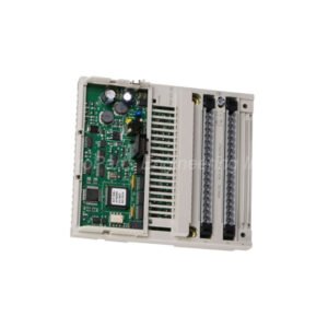 170AAO12000 Schneider Modicon Momentum 4-Channel Analog Output Module