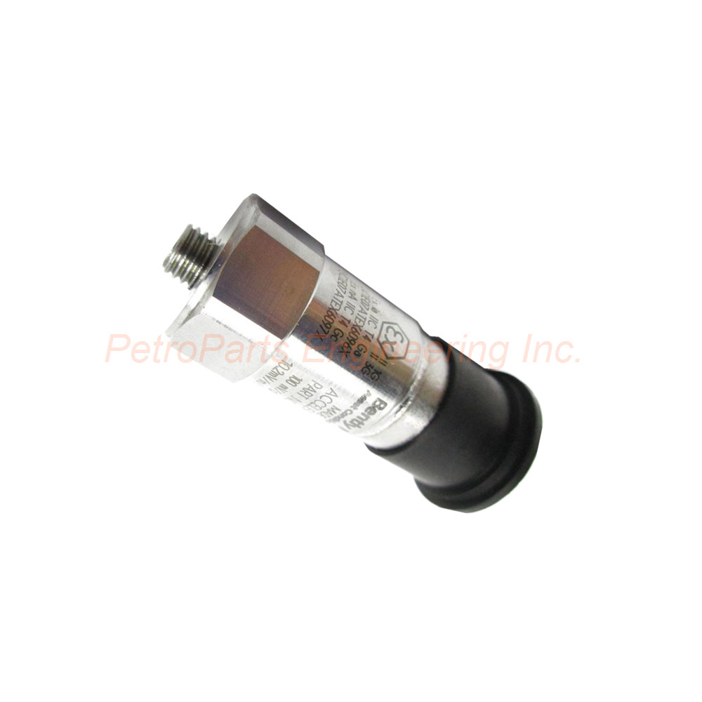 Bently Nevada 200350-01-00-CN | 100 mV/g Accelerometer IP68
